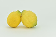 lemon-duel-8x5.jpg