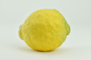 lemon-single-8x5.jpg